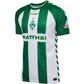 Werder Bremen Jersey