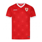 Wales National Team Jersey