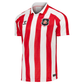 Sunderland AFC Jersey