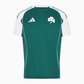 Panathinaikos FC Jersey
